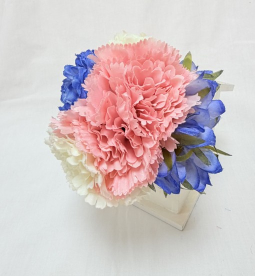 IMG_0813 IMG_0813